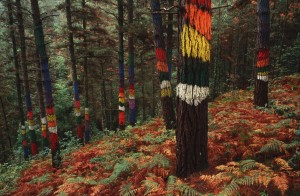 Bosque de Oma (Agustín Ibarrola)